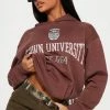 Fashion Nova Hoodies & Sweatshirts Brown University Washed Hoodie - Brown