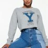 Fashion Nova Hoodies & Sweatshirts Yale Cropped Long Sleeve Top - Heather Grey